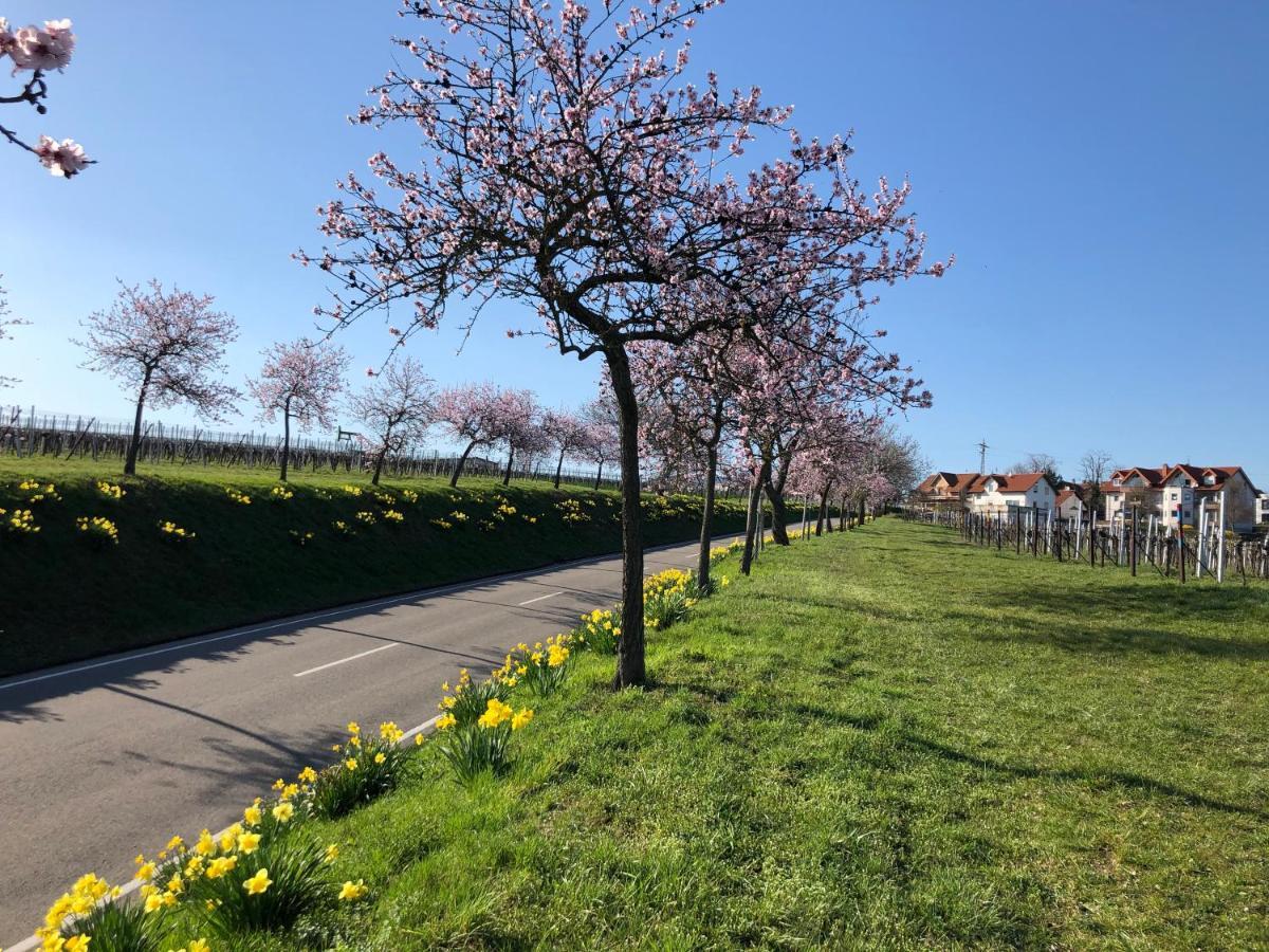 Gaestehaus Susanne Pfaffmann Landau in der Pfalz