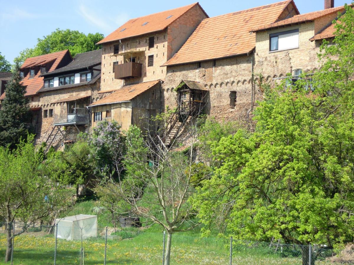 Гостевой дом Gaestehaus Susanne Pfaffmann Ландау (Пфальц)